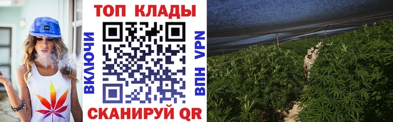 Магазины продажи наркотиков Нахабино Cocaine Мефедрон Амфетамин ГАШИШ