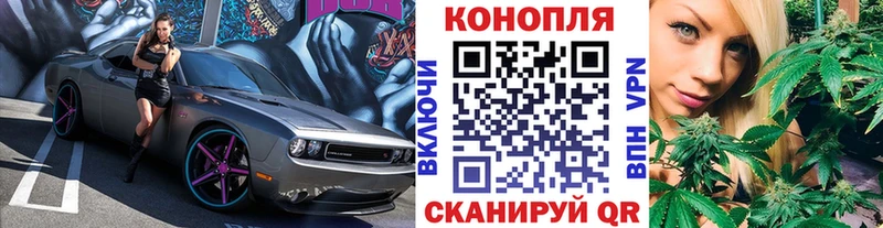 Каннабис MAZAR  Нахабино 